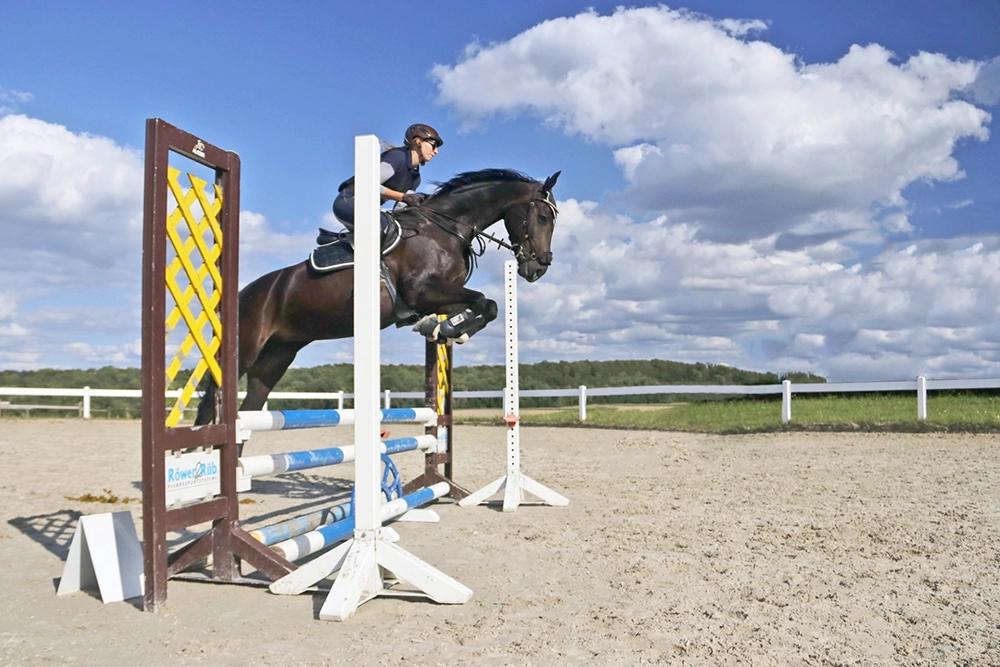 Reiterin auf Pferd überspringt in hohem Bogen Hindernis auf offenem Reitplatz unter blauem Himmel