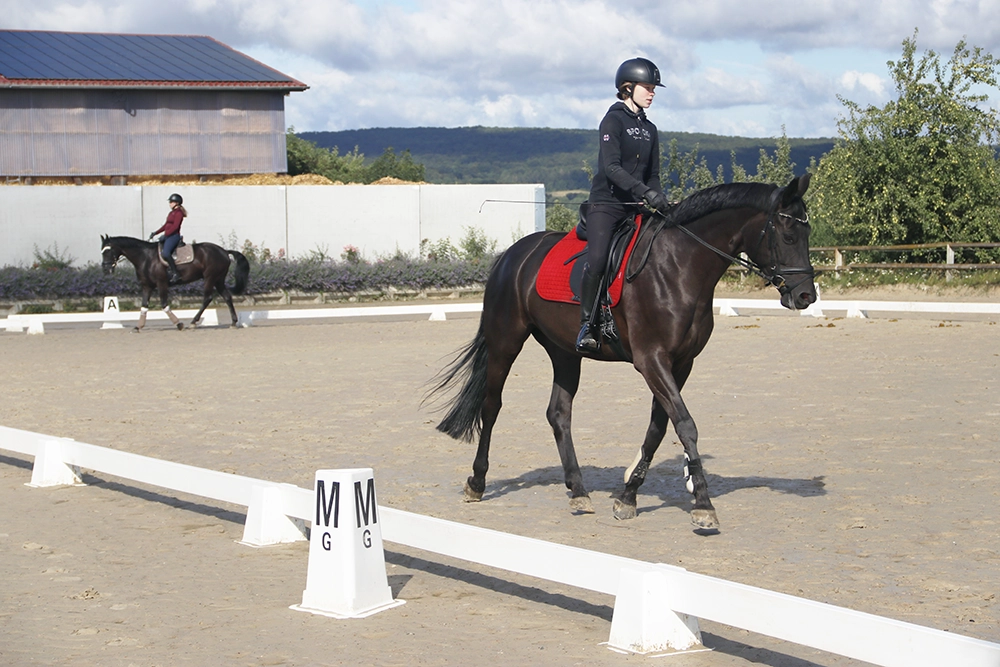 Zwei Reitschülerinnen auf Pferden üben auf Reitplatz
