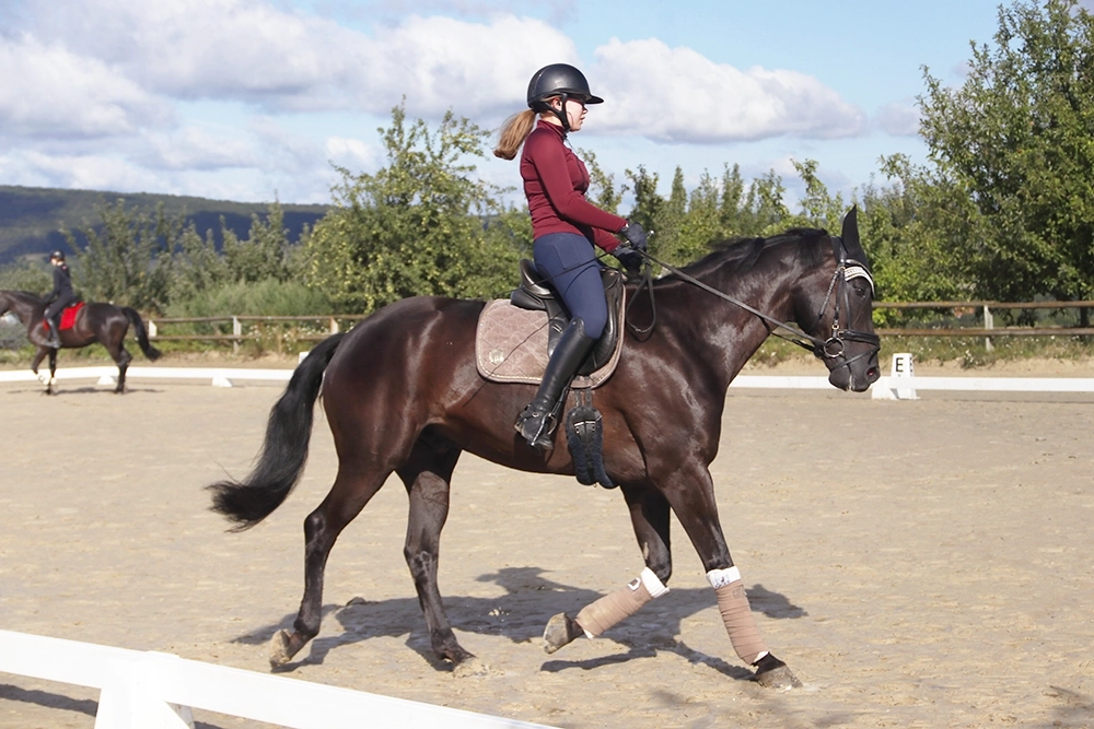Zwei Reitschülerinnen auf dunkelbraunen Pferden üben auf Reitplatz