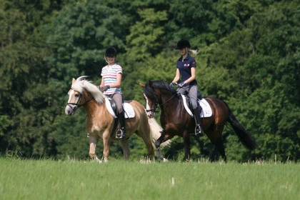 Zwei Reiterinnen auf Pferden reiten nebeneinander über grüne Wiese