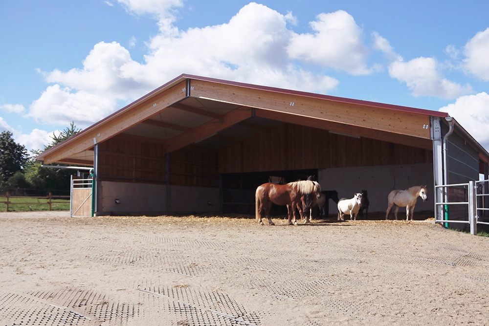 Kleine Gruppe von Pferden vor offenem Unterstand des Aktivstalls