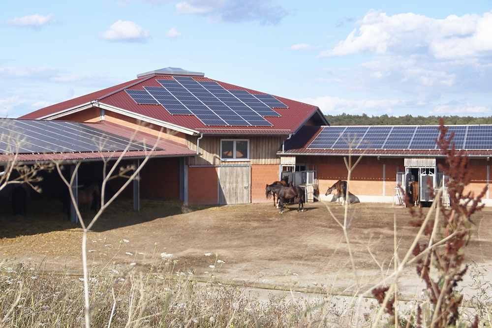 Ansicht des Aktivstallgebäudes an einem sonnigen Tag