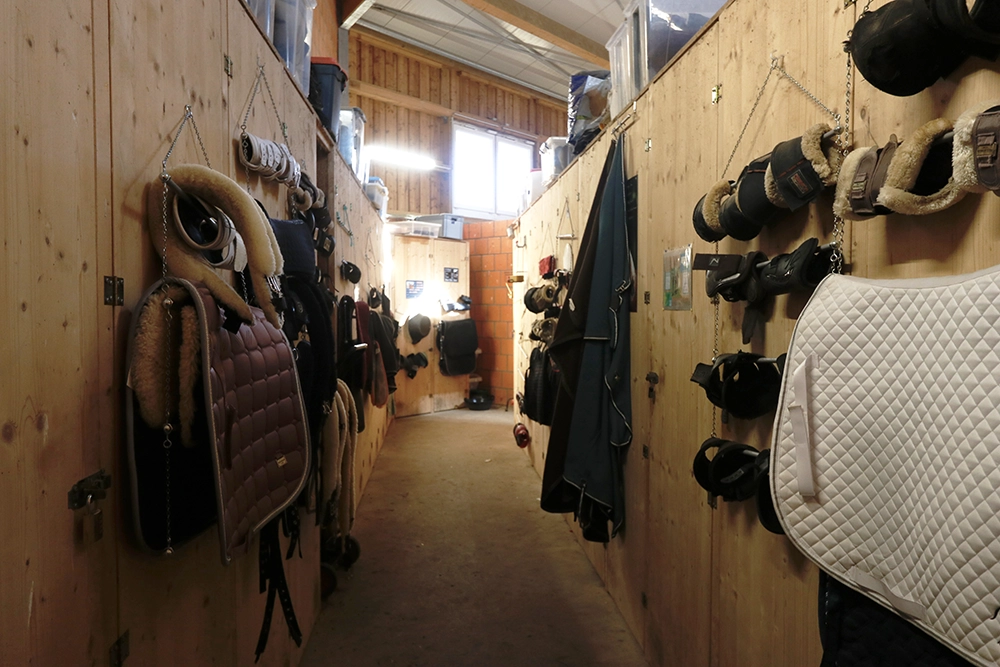 Person reinigt Pferd mit Wasserschlauch