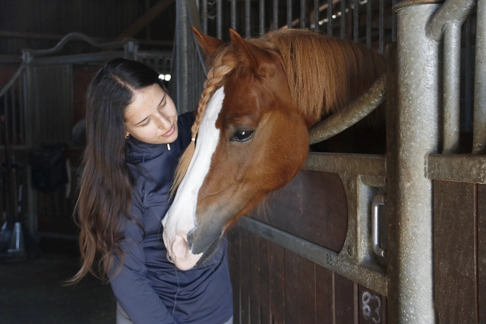 Mädchen streichelt Pferd in Stall