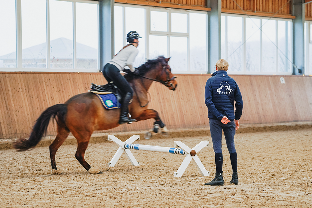 In Reithalle: Philipp Pavel beobachtet Reiterin und Pferd bei Sprung über Hindernis