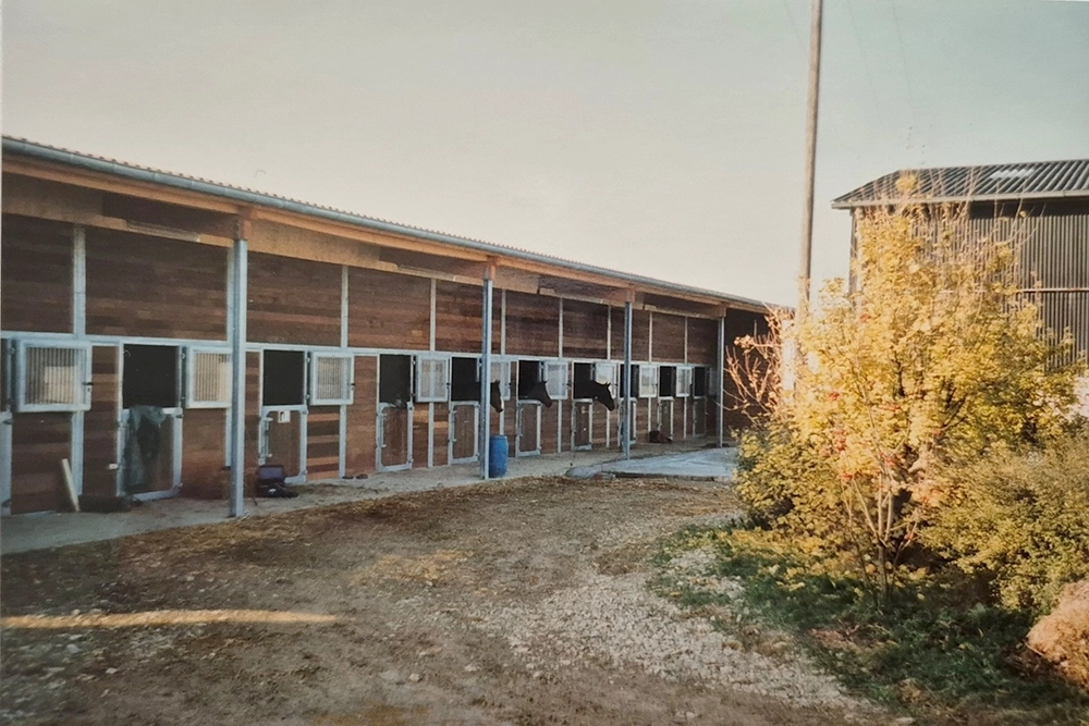 Stallgebäude in warmem Sonnenlicht, Pferde schauen aus Boxen hinaus