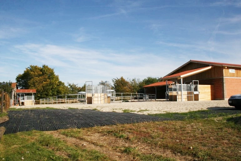 Aktivstall unter blauem Himmel an einem sonnigen Tag