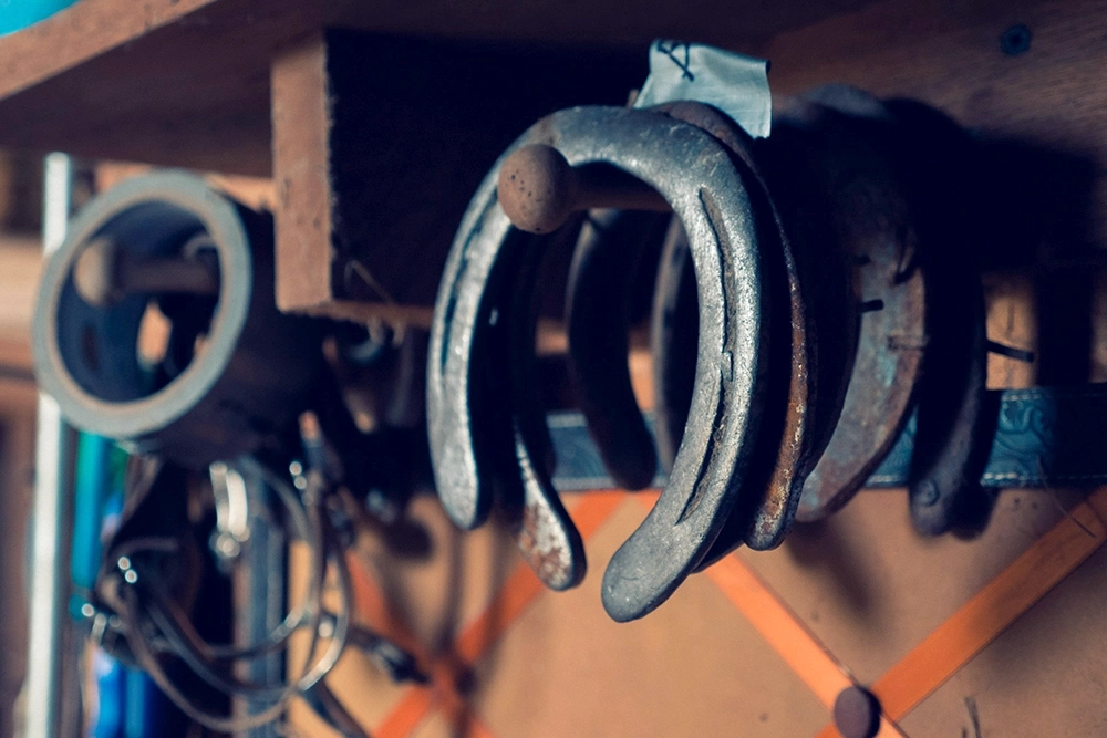 Mehrere Hufeisen hängen an Wandhalterung